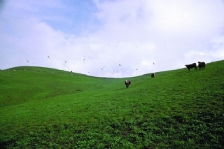 工業(yè)污染處理技術(shù)